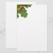Acorns Briefpapier (Vorne/Hinten)