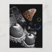 Acorns Butterfly und Blasen Postkarte (Vorderseite)