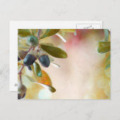 Acorns Postkarte (Vorne/Hinten)