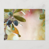 Acorns Postkarte (Vorderseite)