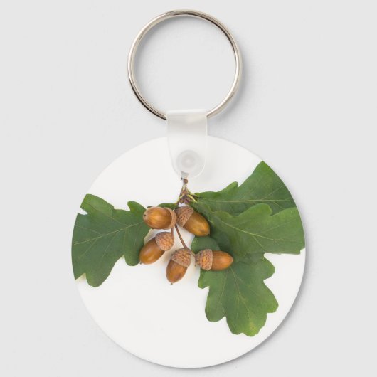 Acorns Schlüsselanhänger (Vorderseite)