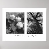 Acorns to Oaks Poster (Vorne)