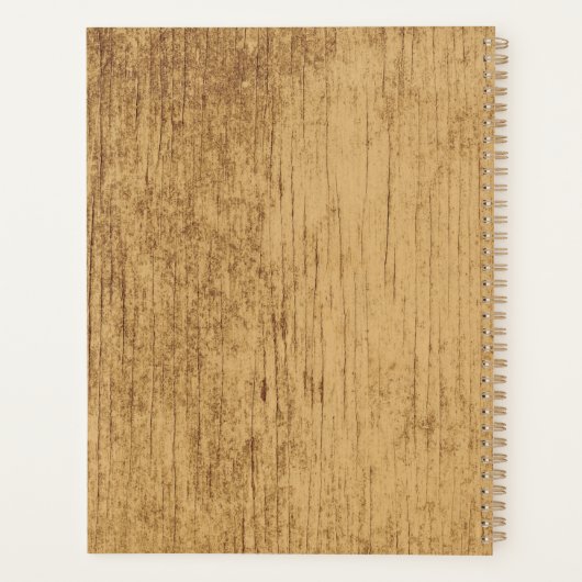 Acoustic Guitar Planer (Rückseite)