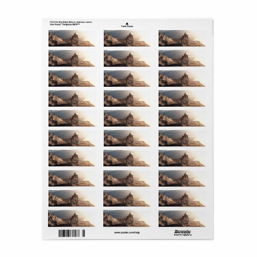 Acrocanthosaurus 2 (Vorne)