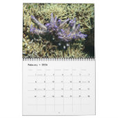 Acroporid Corals Wall Calendar von J.W. Vater. Kalender (Feb 2026)