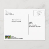 Across War Eagle Creek Waterfall Postkarte (Rückseite)