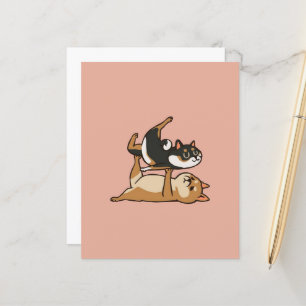 Acroyoga Shiba Inu Niedlich Shiba Inu Yoga Liebh