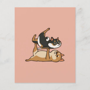 Acroyoga Shiba Inu Niedlich Shiba Inu Yoga Liebh Flyer