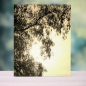 Acryl-Schild Acrylschild (Neutral)