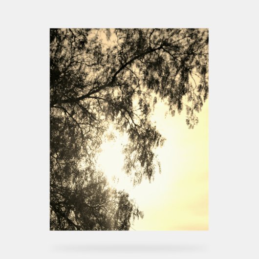 Acryl-Schild Acrylschild (Vorderseite)