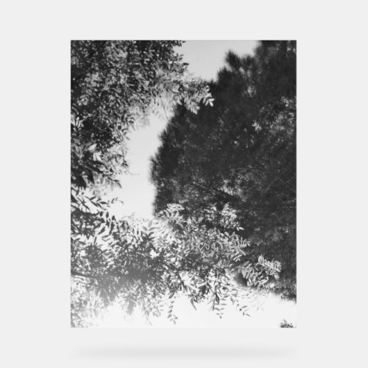 Acryl-Schild  Acrylschild (Vorderseite)