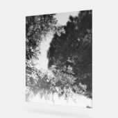 Acryl-Schild  Acrylschild (Winkel)