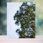 Acryl-Schild Acrylschild (Neutral)