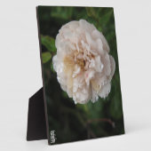 Acryl-Wandkunst Fotoplatte (Seite)