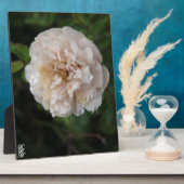 Acryl-Wandkunst Fotoplatte (Seite)