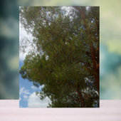 Acryl-Zeichenbild Acrylschild (Neutral)