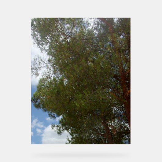 Acryl-Zeichenbild Acrylschild (Vorderseite)