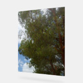 Acryl-Zeichenbild Acrylschild (Winkel)