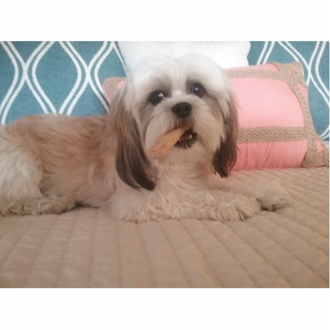 AcrylFotoskulpturandenken Freistehende Fotoskulptur (Vorne)