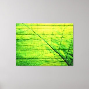 Acrylgrünes Leaf aus Holz Leinwanddruck