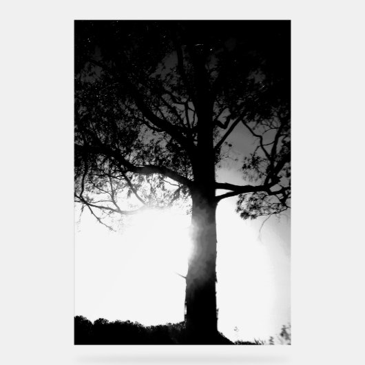 ACRYLIC SIGN COOL ÖKO DESIGN STYLE ACRYLSCHILD (Vorderseite)