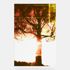 ACRYLIC SIGN COOL ÖKO DESIGN STYLE ACRYLSCHILD