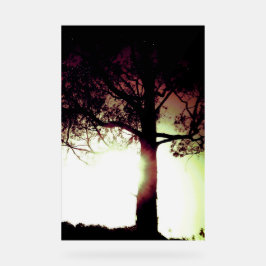 ACRYLIC SIGN COOL ÖKO DESIGN STYLE ACRYLSCHILD