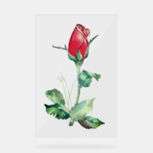 ACRYLIC SIGN ROSE BUD-DESIGN-STIL