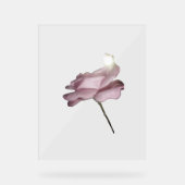 ACRYLIC SIGN ROSE DESIGN STYLE ACRYLSCHILD (Vorderseite)