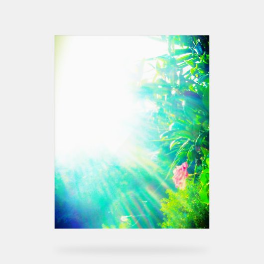 ACRYLIC SIGN ROSE DESIGN STYLE ACRYLSCHILD (Vorderseite)