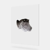 Acrylic Sign TIGER DESIGN STIL Acrylschild (Winkel)
