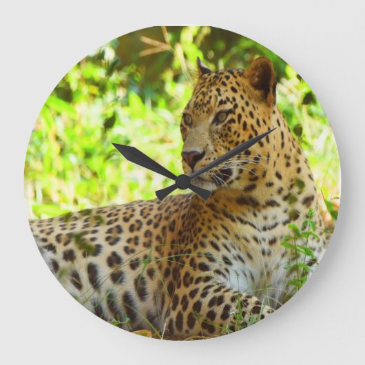Acrylmauer Große Wanduhr (Vorderseite)