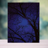 Acrylschild ART  DESIGN STIL  (Neutral)