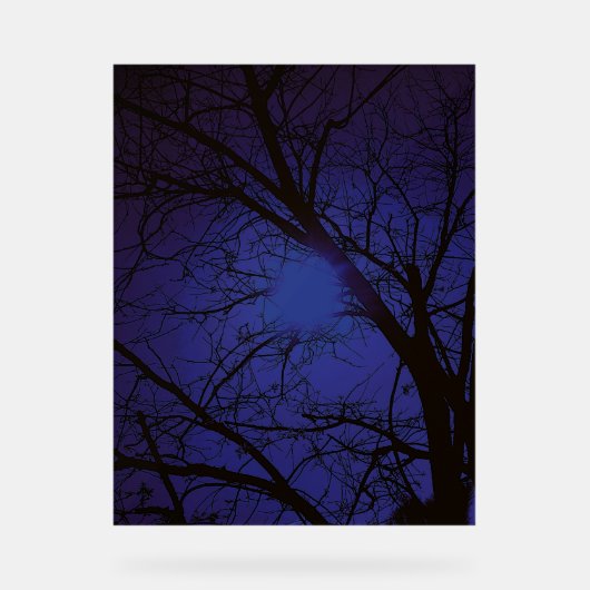 Acrylschild ART  DESIGN STIL  (Vorderseite)