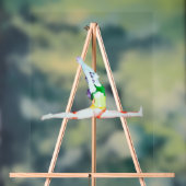 Acrylschild – Hanumanasana (Neutral)