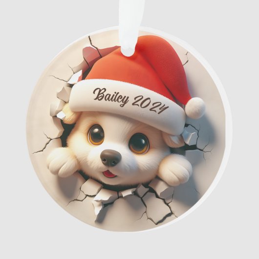 Acrylschmuck Ornament (Vorderseite)