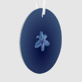 Acrylschmuck Ornament (Vorderseite)