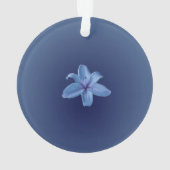 Acrylschmuck Ornament (Rückseite)