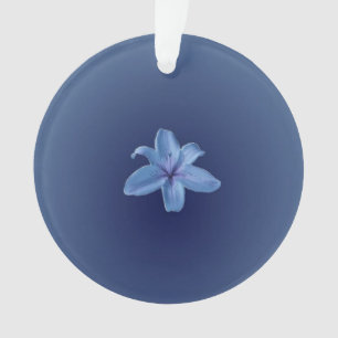 Acrylschmuck Ornament