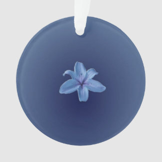 Acrylschmuck Ornament