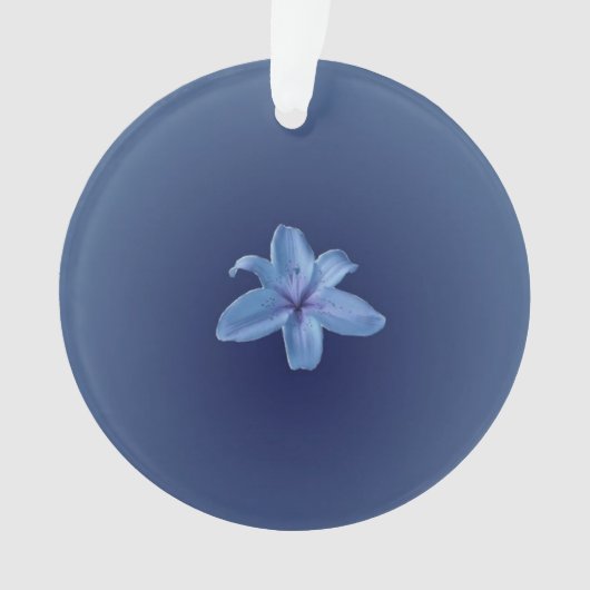 Acrylschmuck Ornament (Vorderseite)