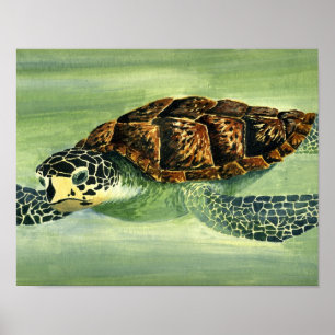 Acrylseaturtle Poster