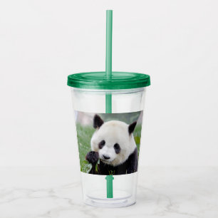 Acryltrinkbecher. Foto Riesenpanda, Panda Geant. Acryltrinkbecher