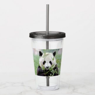 Acryltrinkbecher. Foto Riesenpanda, Panda Geant. Acryltrinkbecher