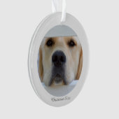 AcrylweihnachtsFoto-Verzierung Ornament (Vorderseite)