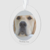 AcrylweihnachtsFoto-Verzierung Ornament (Vorderseite)