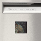 Actinia Magnet (In Situ (Geschirrspüler))