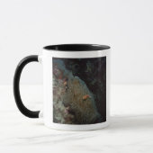 Actinia Tasse (Links)