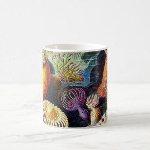 Actiniae durch Ernst Haeckel Kaffeetasse