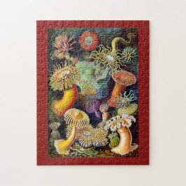 Actiniae durch Ernst Haeckel Puzzle